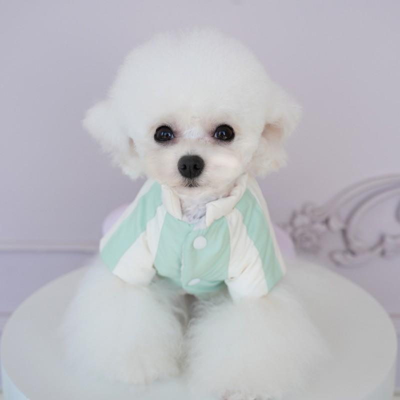 Warm Waterproof Dog Coat Small Breeds Fall Winter Outdoor Wear 4-Legged Pet Sweater Nylon Blend