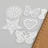 White Mesh Lace Trim for Sewing Projects Delicate Embroidered Pattern Ideal for Stylish DIY Creations