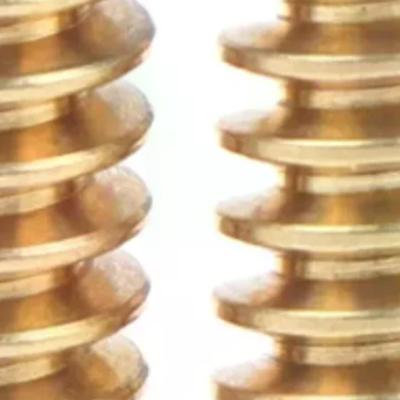 2PCS 0.5 Modulus 1.98mm/2.28mm/ 2.98mm Aperture Hole Diameter Single-head Copper Worm Gear Matching 2mm/2.3mm/3mm Shaft