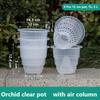 Meshpot Home Decoration Clear Orchid Pots with Holes Cattleya Dendrobium Orchid Plants Pot Cachepot In 10cm 12cm 15cm