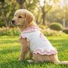 Breathable Pet Dress Shirt Ruffles Design Pet Princess Dress Dog Floral Lace Skirt  Photography