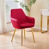 Modern Minimalist Accent Chair