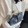 2025 Summer New Niche Pleated Cloud Bag Women's Fashion Versatile Chain Single Shoulder Messenger Bag Small Bag