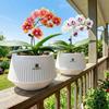 Thickening Resin Flower Pot Split Type Growing Pots Butterfly Orchid Flowerpot  Gardening Planting