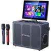 Sansui C6 Portable KTV Speaker System