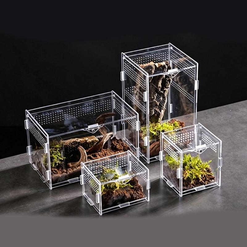Klare Lebensraumbox für kleine Reptilien Tiere, Beobachtungsfenster Acrylgehege Belüftetes Design mit seitlichen und oberen Luftöffnungen