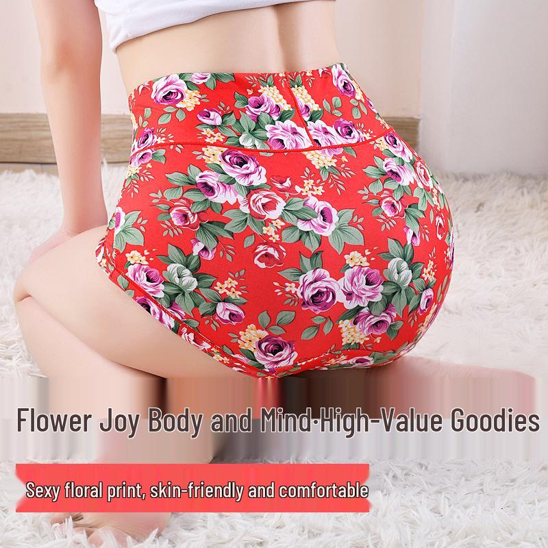 Damen High-Waist bedruckte Dreiecksslips mit Graphen antibakteriellem Baumwollzwickel - Sexy, atmungsaktive, Bauchkontroll-Unterwäsche