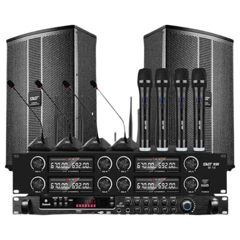 SAST Professional 15-inch Conference Audio System with Microphones (CN version)