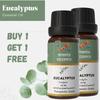 Buy 1 Get 1 Free Eucalyptus Essential Oil for Aromatherapy & Home Fragrance | Essential Oil for Diffuser & Soap Making