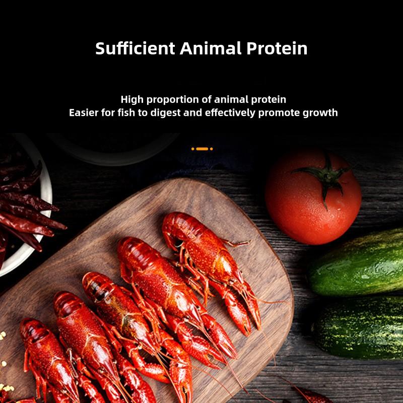 Koi Goldfish Fish Food Algae Spirulina Specialized Color Enhancing Particles Floating Type