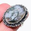 Tree Agate Gemstone 925 Sterling Silver Jewelry Ring Size 8 M454