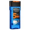 L'Oreal Men's Anti-Dandruff Shampoo