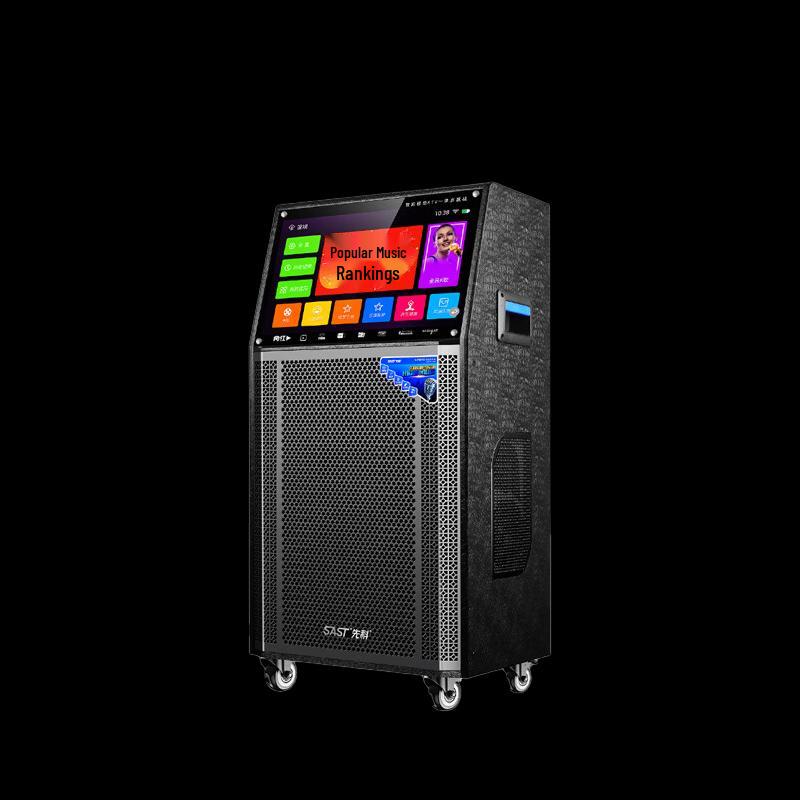 SAST Portable KTV Karaoke Speaker System with Display CN plug (adapter included) (CN version)