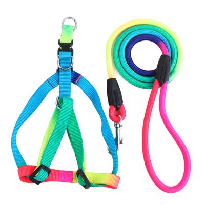 Pipitao Classic Cross-border Pet Leash, Colorful Round Rope Chest and Back Dog Leash