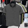 Pierre Cardin Men's Striped Short Sleeve Polo Shirt