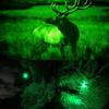 WINDFIRE Green Light Tactical Flashlight, Powerful Green Flashlight, 1 Lighting Mode, Adjustable Zoom Handheld Light, IPX4 Waterproof, Pig Wolf Mint L