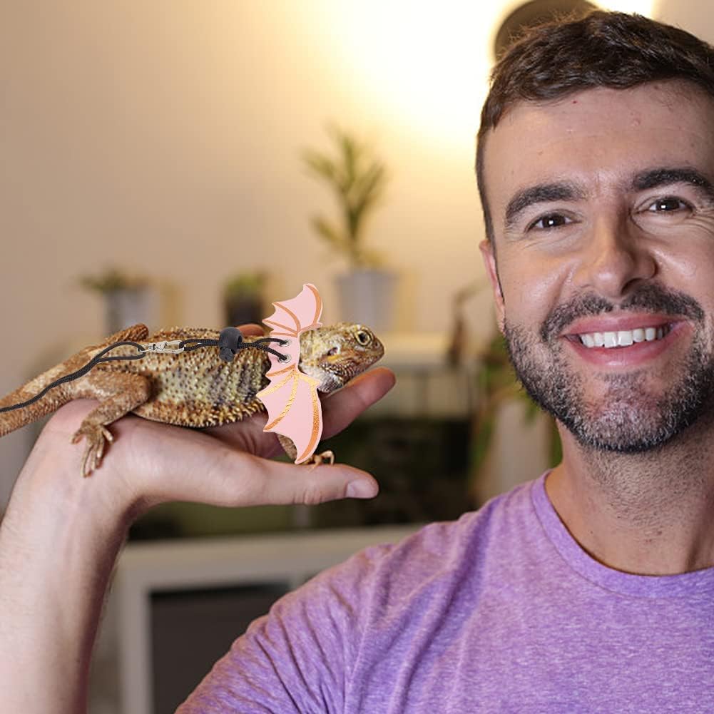 WEBEEDY 2 Sets Bearded Dragon Lizard Harness Leash 3 Size Pack Leather Adjustable Dinosaur Wing Lizard Harness Leash for Bearded Dragon Lizard