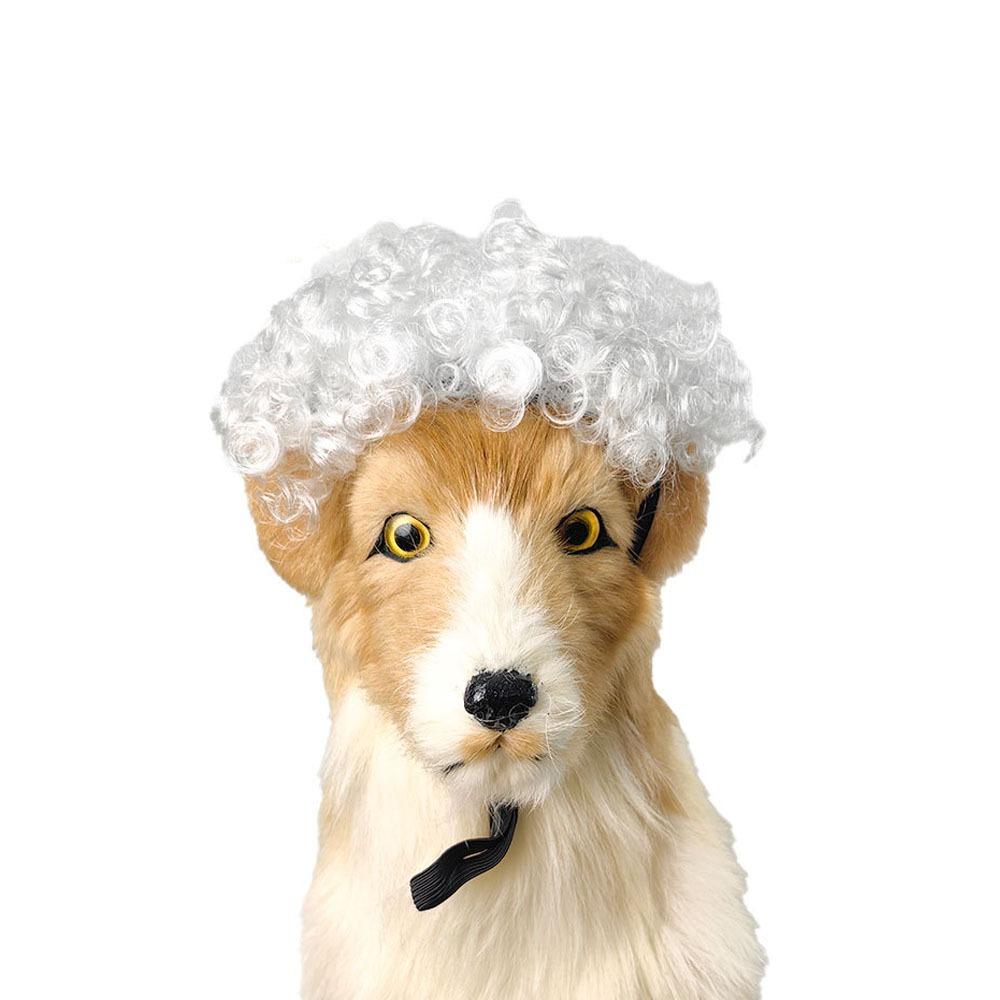 Kreative Lustige Haustierperücke Verstellbares Afro-Design Hundeperücke Elastisches Banddesign Katzenperücke Haustier Cosplay Requisiten Fotografie Scherzgeschenke