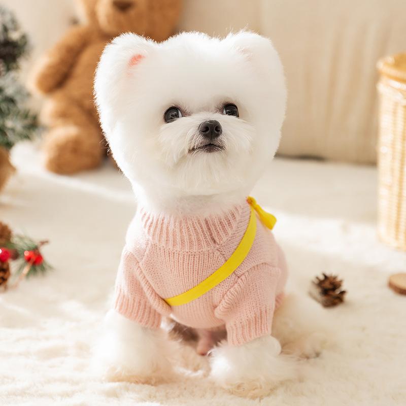 Autumn and Winter Dog Cute Cartoon Duckling Shoulder Bag Sweater Cat Two Feet Pet Dog Clothes Knitted Sweater