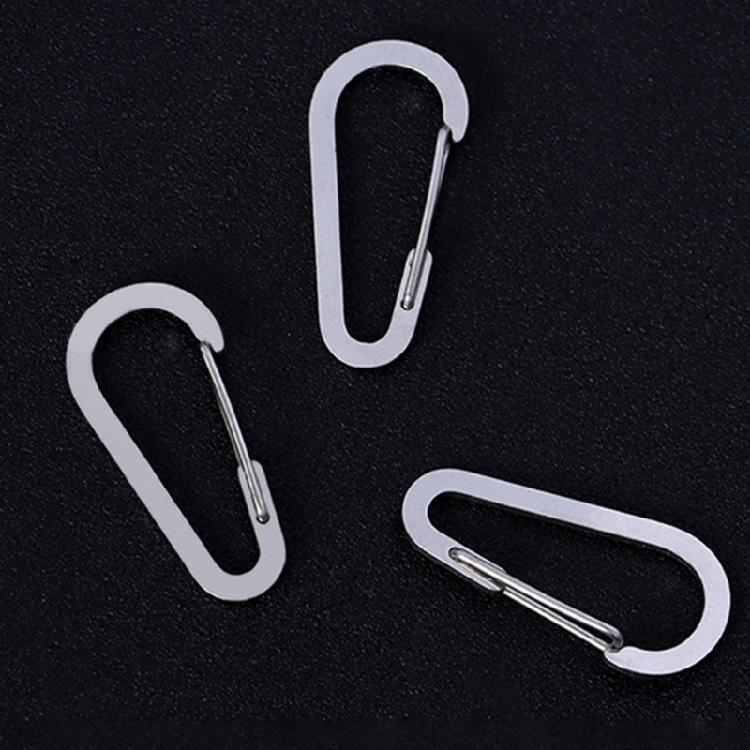10Pcs Carabiner Clip Stainless Steels Keyring Clip Snap Hook Small Carabiner Clip for Key, Backpacks, Camping, Outdoor