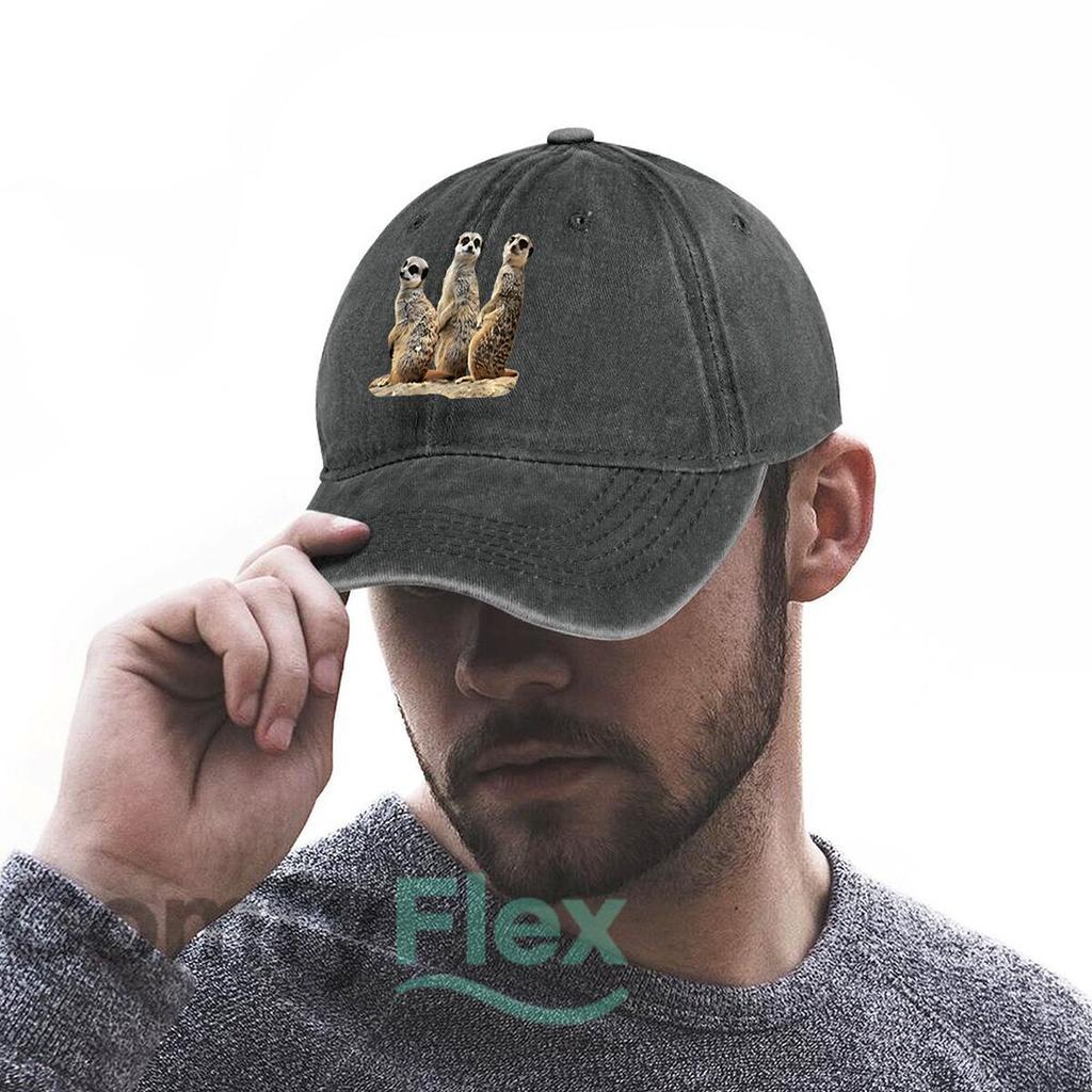 Erdmännchen-Trio Wildtier-Fandom, Süße Vibes verbreitend Gewaschene Baseballkappe Outdoor Für Damen Unisex FeUnisex Mode Dad Hat Hip Hop