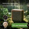 Natural Herbal Shampoo Soap with Oriental Arborvitae & Polygonum Multiflorum for Fluffy, Nourishing Hair Care