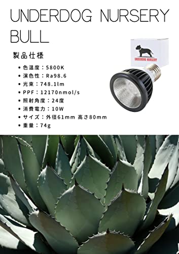 UNDERDOG NURSERY BULL 10W 5800K BLACK LED Plant Growth Light for Succulents, Tuberous Plants, Ornamental Plants, Indoor Cultivation, Home Garden (BLAC