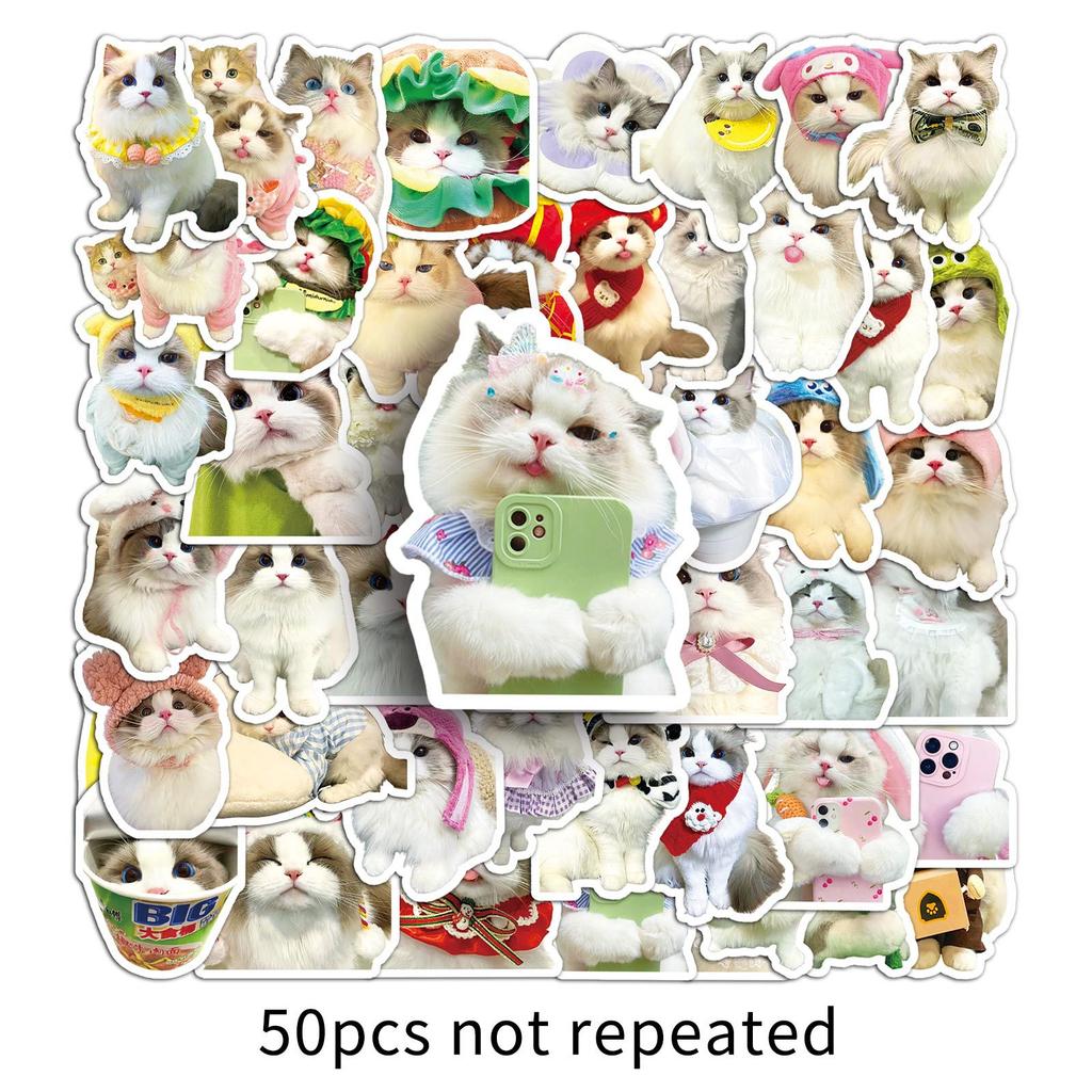 50 Ragdoll Cat Doodle Stickers Cute Kitten Ins Style Creative Decorative Water Cup Computer Mobile Case Stickers