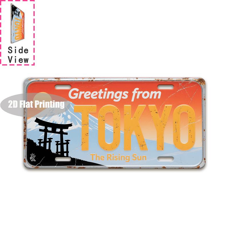 Tin Sign - Vintage Durable Metal Plaque Wall Decor, Home Office Bar Man Cave European Asian City Bar Birth Year License Plate