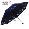 Accesorii – Umbrele