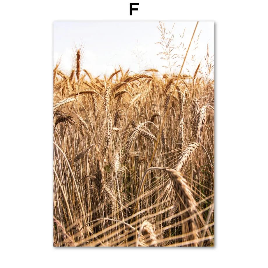Autumn Bridge Lake Forest Wheat Grass Fall Posters Prints Canvas Painting Nordic Wall Art Pictures For Living Room Home Decor