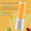 Compact Rechargeable Multi-Function Juicer & Ice Crusher for Baby Food, Smoothies, and Fruit Juice