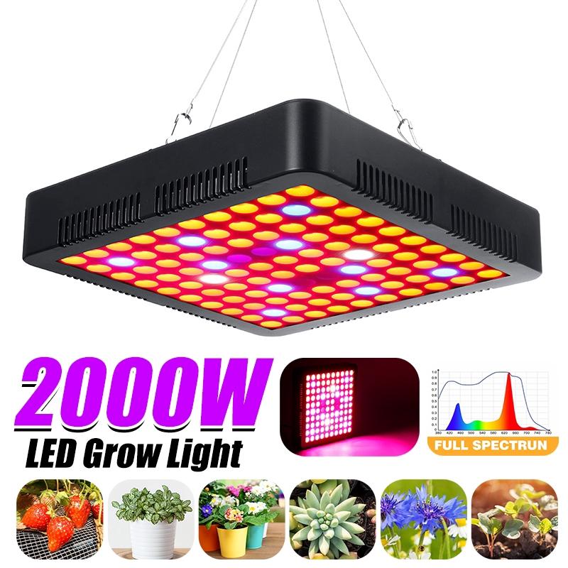 2000W Growing Lamps LED Grow Light Full Spectrum for Greenhouse Indoor Hydroponic Plant Seedling Flower High Yield