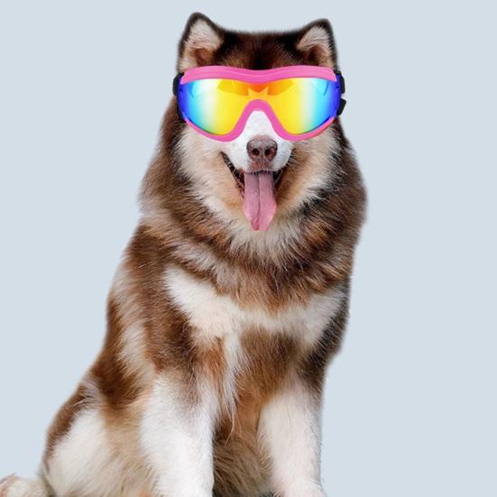 Dog Goggles Medium Large Breed Sunglasses Windproof Fogproof UV Eye Protection Pet Glasses Snowproof Waterproof Eyewear for Puppy Doggy