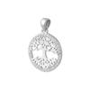 Silver Pendant with Cubic Zirkonia (2080848)