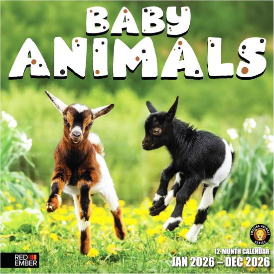 RED EMBER Baby Animals 2026 Wall Calendar 12 Month | 12” x 24” Open | Thick & Sturdy Paper | Holiday Gift | Wild Cute Kids Baby Animals Calendar New 2026