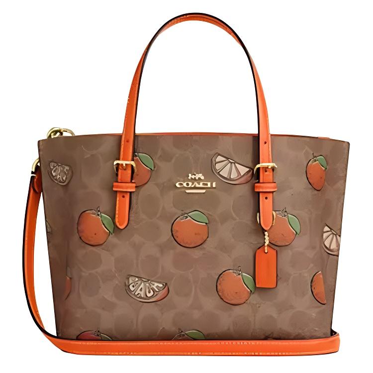 Coach Mollie Signature Print Zipper Tote Bag Women tote bags Multicolor CBB55-IMTAM Basic Set (Bag+Dust Bag)