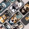 Étui de téléphone magnétique Corgi en costume Pour APPLE iPhone 17 Air 16 14 13 12 Pro Max 15 Plus Charge sans fil Avec couverture MagSafe