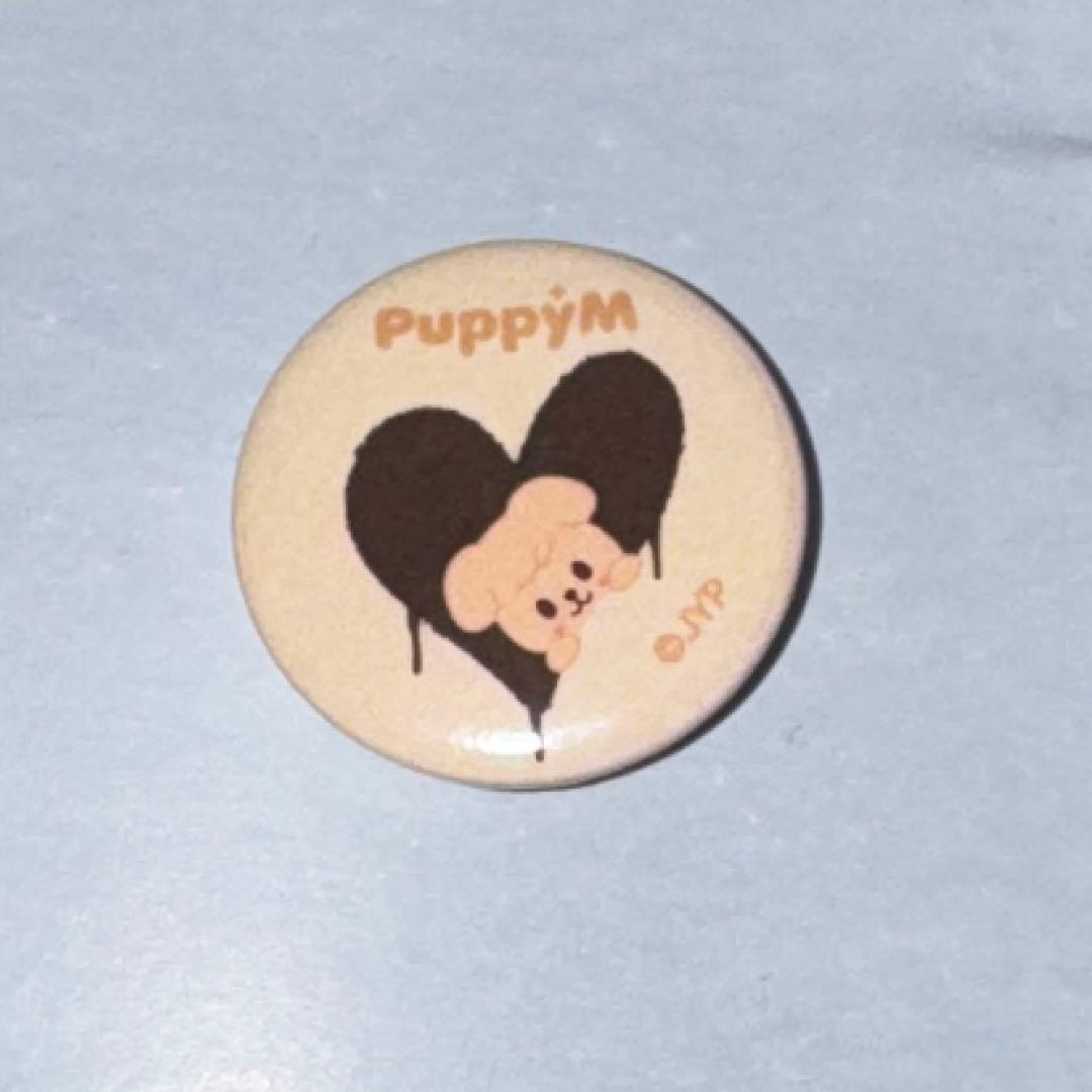 

[USED] stray kids popup admission bonus Papim can badge