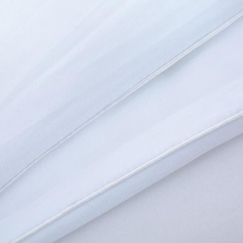 Royal Bedroom Down Alternative Microfiber Quilt