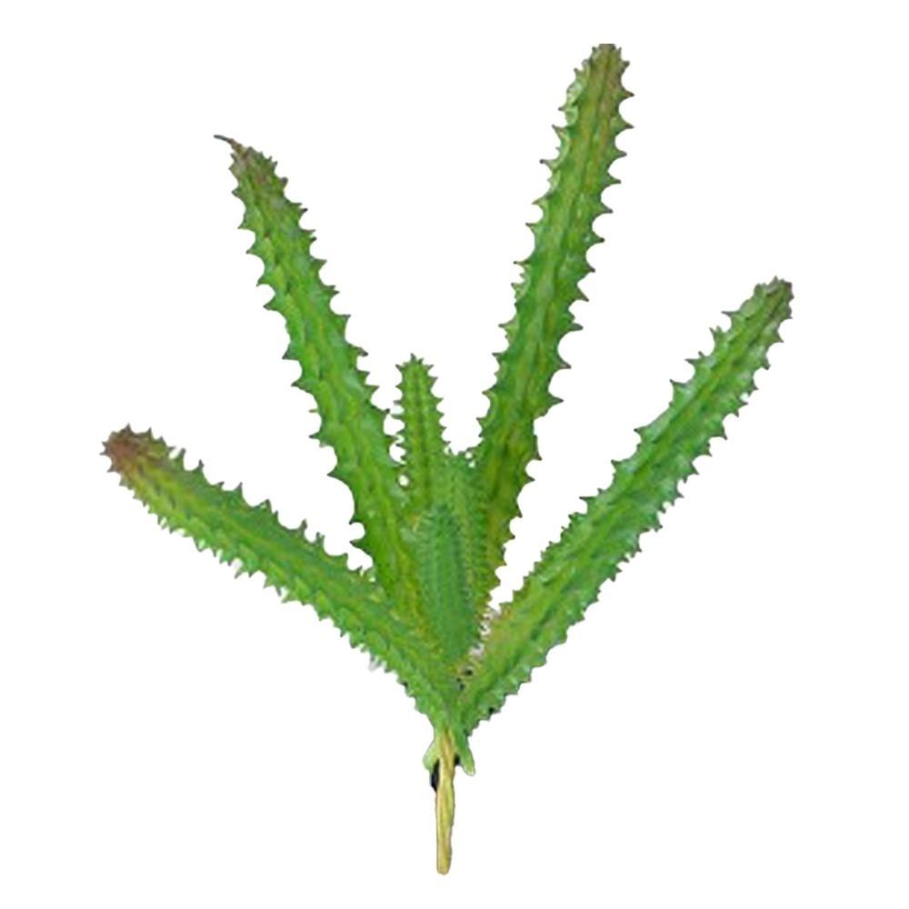 7.87x4.72in Simulated Succulent Tabletop Decor Desktop Single Decoration