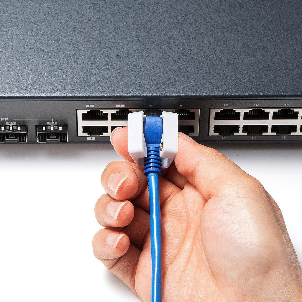 SANWA SUPPLY LAN Cable Prevents Unplugging and Data Theft Lock, SL-78,