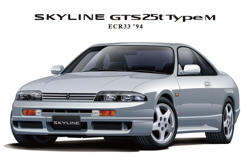 Aoshima Bunka Kyozai 1/24 Scale Model Car Series No. 94 Nissan ECR33 Skyline GTS25t Type M 1994 Plastic Model