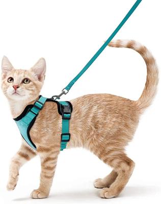 Harnais et laisse pour chat pour la marche, harnais anti-évasion souple et réglable pour chats, EasyControl