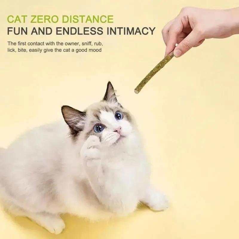 6 Stück Natürliche Matatabi Katzensticks Minze Gefangen Gebissen Aufgeregte Stöcke Silberwein Für Katzen Zahnpflege Behandeln Haustierbedarf Katzenzubehör