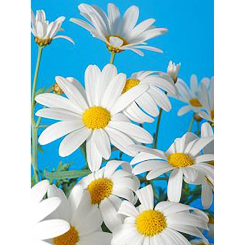 5D DIY Diamond Painting Flowers Rose Cross Stitch Kit Full Round Drill Embroidery Mosaic Wall Art Rhinestones Home Decor Gift