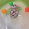 Playful Water-Floating Animal Bath Toy Set - Cute, Durable Plastic, No Batteries Needed, Ideal for Bathtub Fun
