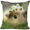 Living Room Pillowcase Guinea Pig   Modern Home