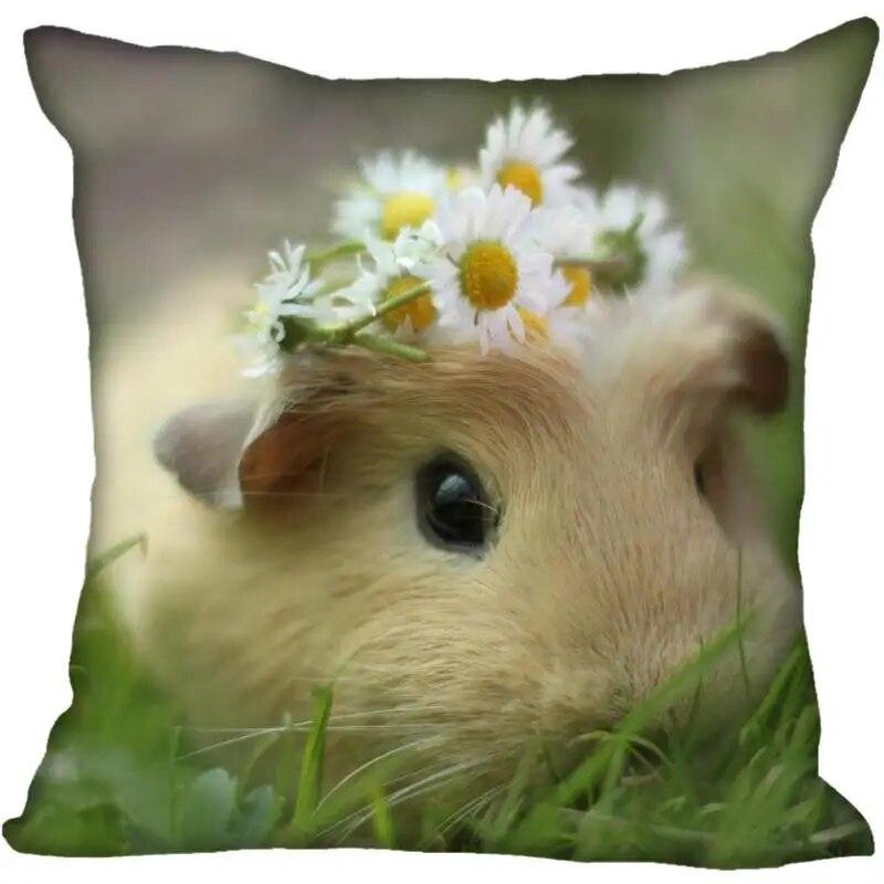 Living Room Pillowcase Guinea Pig   Modern Home
