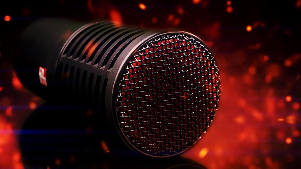 sE Electronics DynaCaster Front-Address Dynamic Studio Microphone, Black